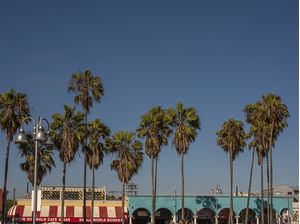 VENICE CALIFORNIA