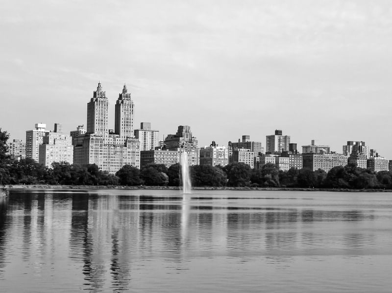 N.Y.CITY - CENTRAL PARK