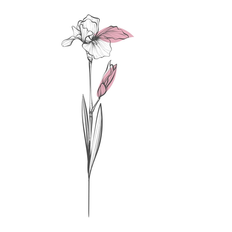 GENTLE FLOWERS SQUARE PART 1 OF 4