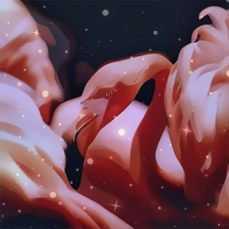 SPACE FLAMINGO