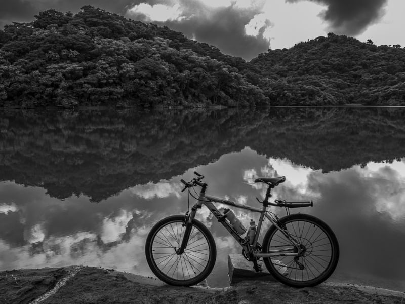 REFLEXOS MTB_PNW