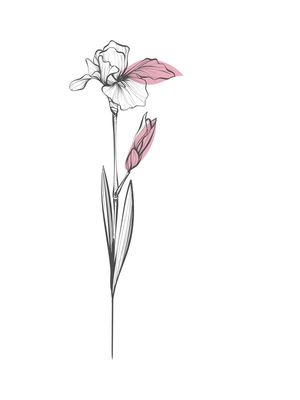 GENTLE FLOWERS PART 1 OF 4