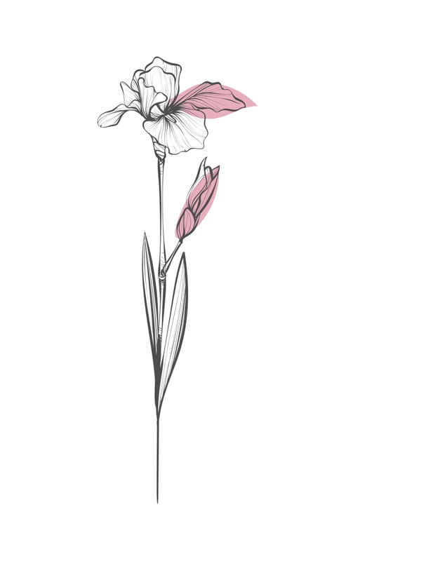 GENTLE FLOWERS PART 1 OF 4