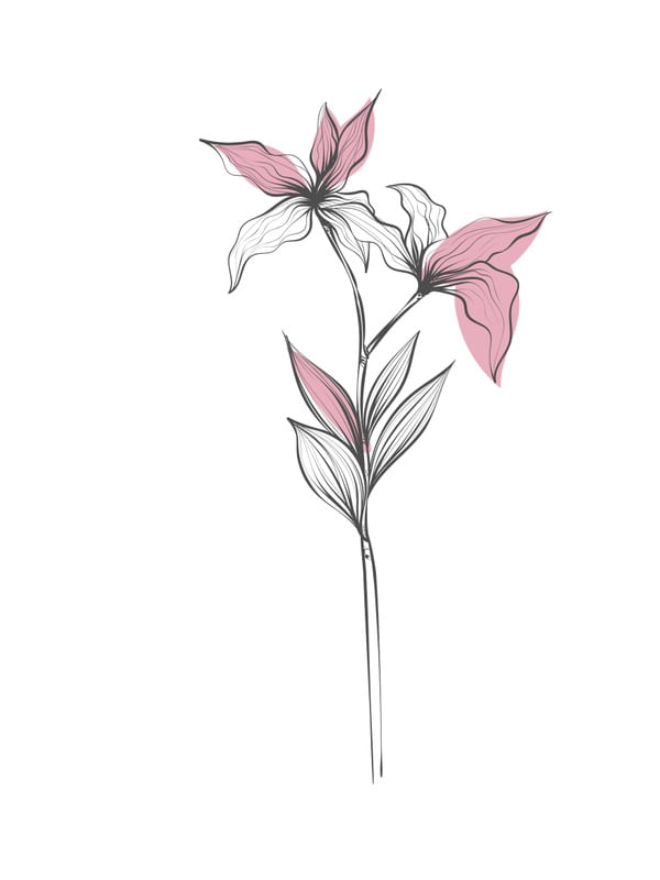 GENTLE FLOWERS PART 3 OF 4