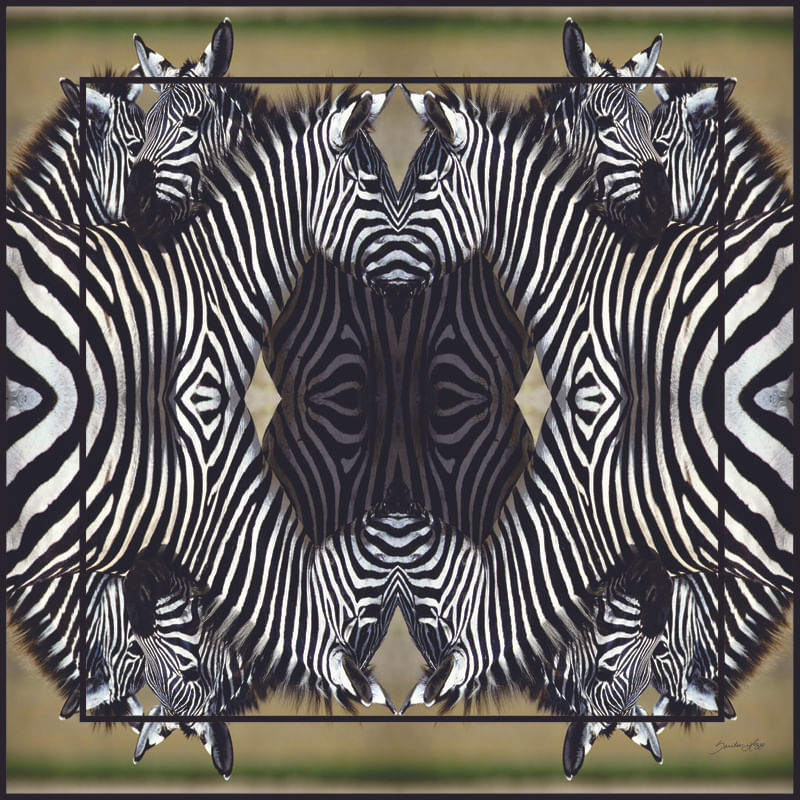 ZEBRICES