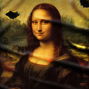 MONA TELA DANIFICADA QUAD