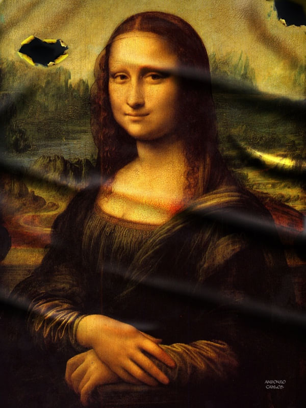 MONA TELA DANIFICADA
