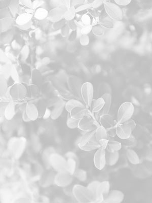COLEÇÃO WHITE - FOLHAGEM 03