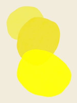 SCANDINAVIAN DESIGN 027