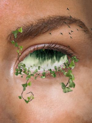 NATURE EYE