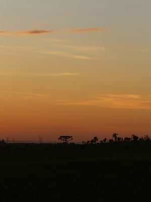 PAISAGEM CATARINENSE