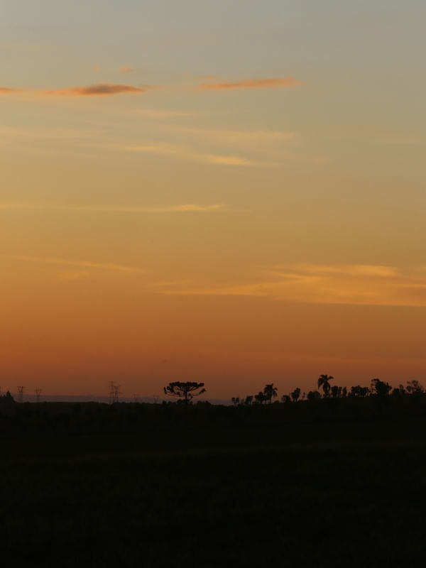 PAISAGEM CATARINENSE