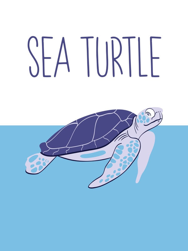 SEA TURTLE - SÉRIE DE 6 QUADROS BLUE SEA