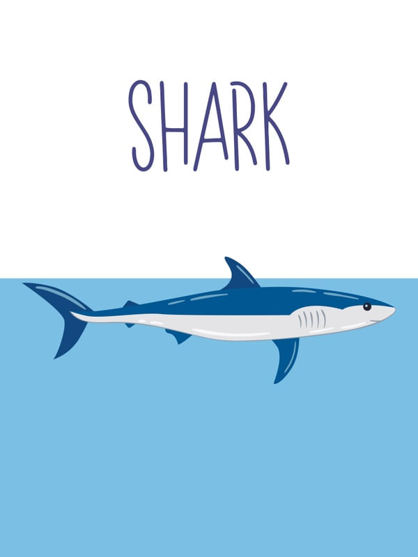 SHARK - SÉRIE DE 6 QUADROS BLUE SEA