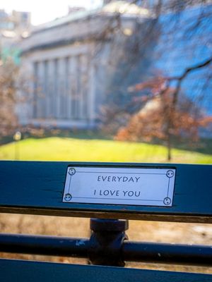 CENTRAL PARK, EVERYDAY I LOVE YOU