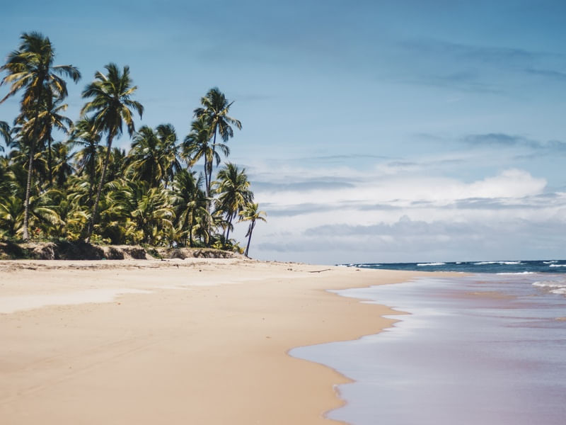 O OUTRO LADO DA PRAIA