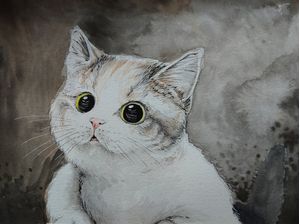 CUTE CAT 2009