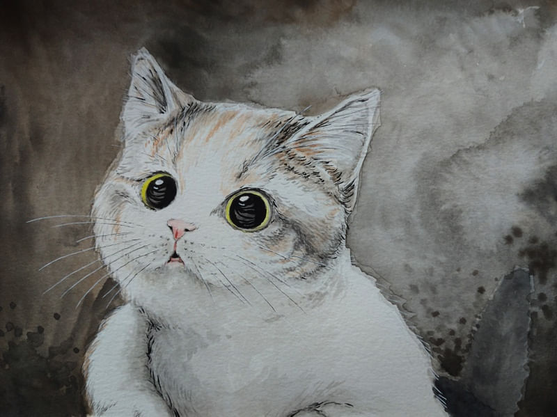 CUTE CAT 2009