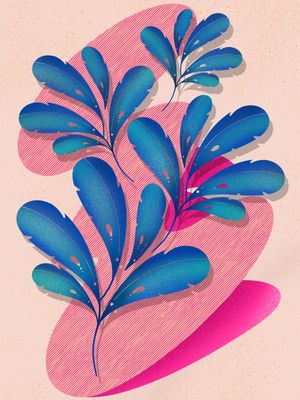 FLORAS POPART
