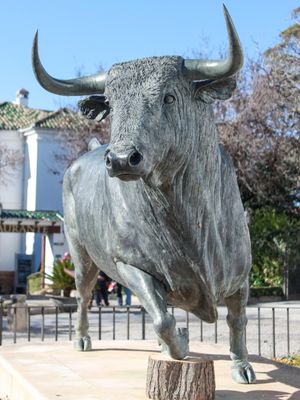 TOURO DE RONDA