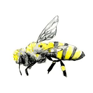 ABEELHA