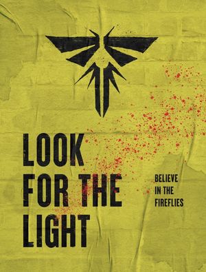 LOOK FOR THE LIGHT