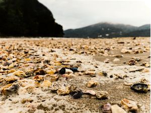 CONCHAS E PRAIA