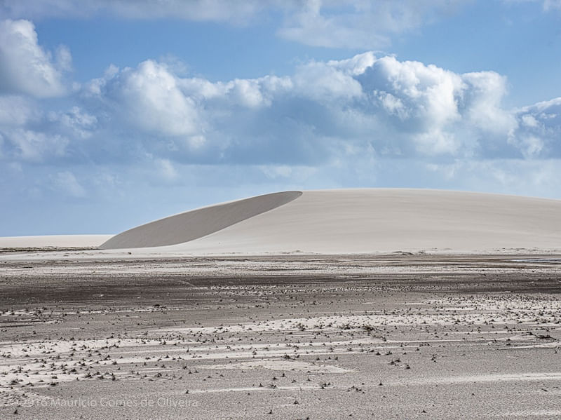 DUNAS MARANHENSES