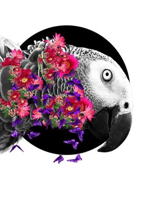 FLORA 01007