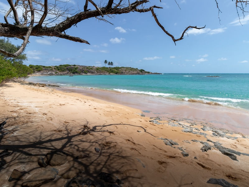 O MAR AZUL DA ILHA DE SANTO ALEIXO