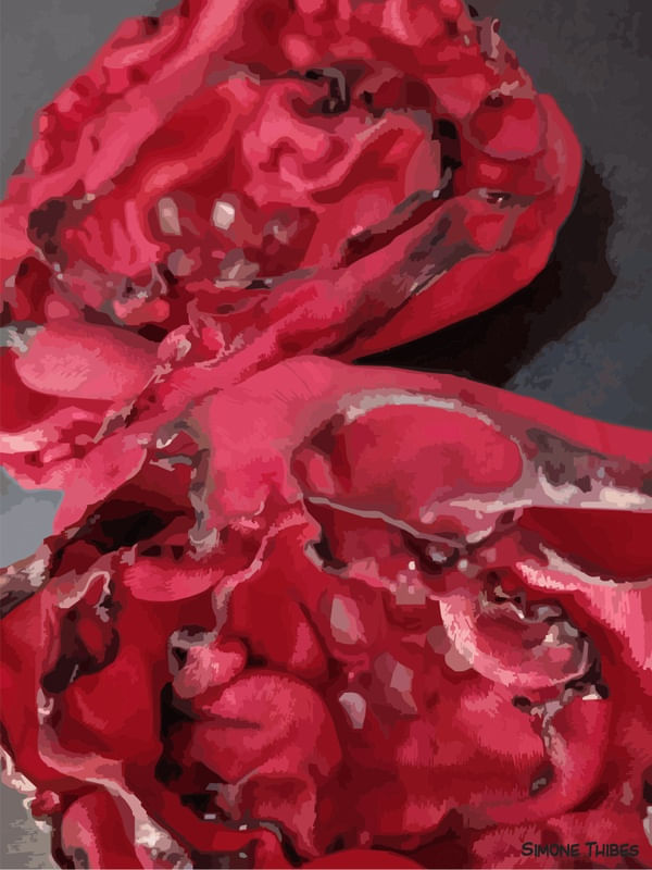 FLORAL VERMELHO FOGO 5