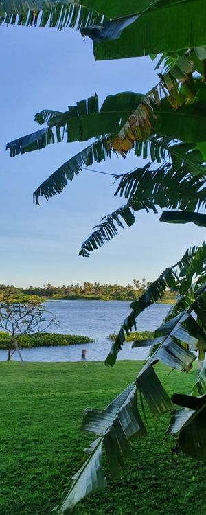 LAGOA AO FUNDO
