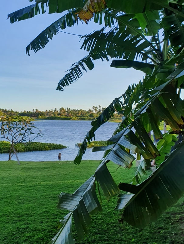 A PAZ DA NATUREZA