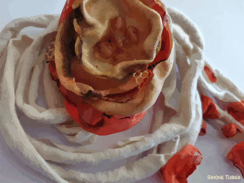 FLORAL NINHO CORAL