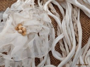 FLORAL BRANCO E BEGE 3