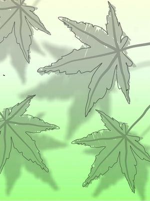 FOLHAS VERDES 2 - DV