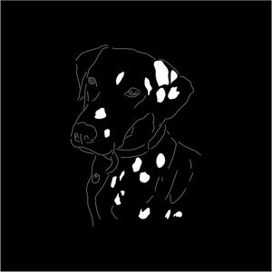 O CACHORRO