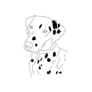 O CACHORRO BP