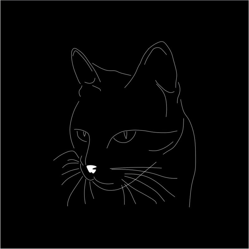 O GATO PB