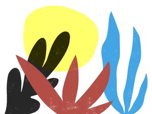 TROPICAL 0013