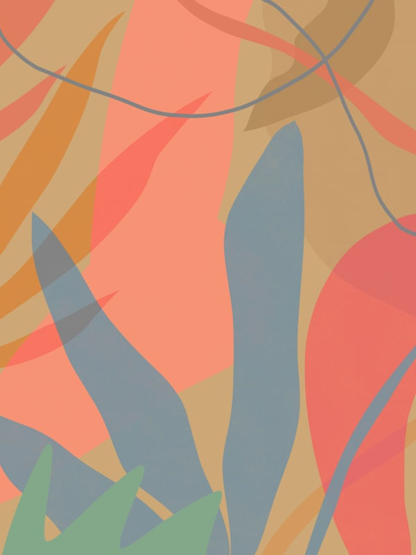 TROPICAL 004