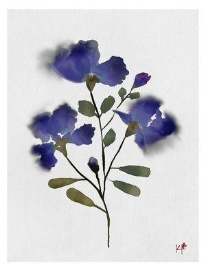 WILDFLOWERS 2