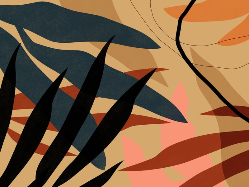 TROPICAL 0010