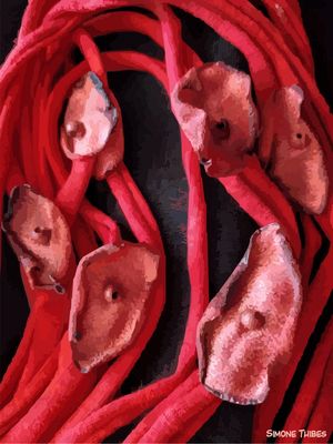 FLORAL VERMELHO FOGO 4