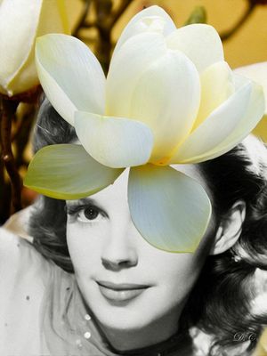 JUDY AND FLOWER II
