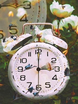 TIME TO BE FREE