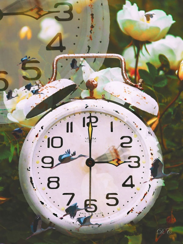 TIME TO BE FREE