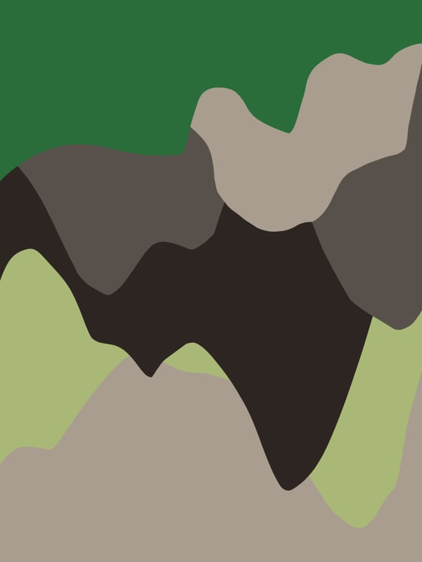 MILITAR 001