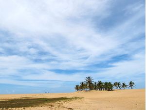 DUNAS DO SÃO FRANCISCO II
