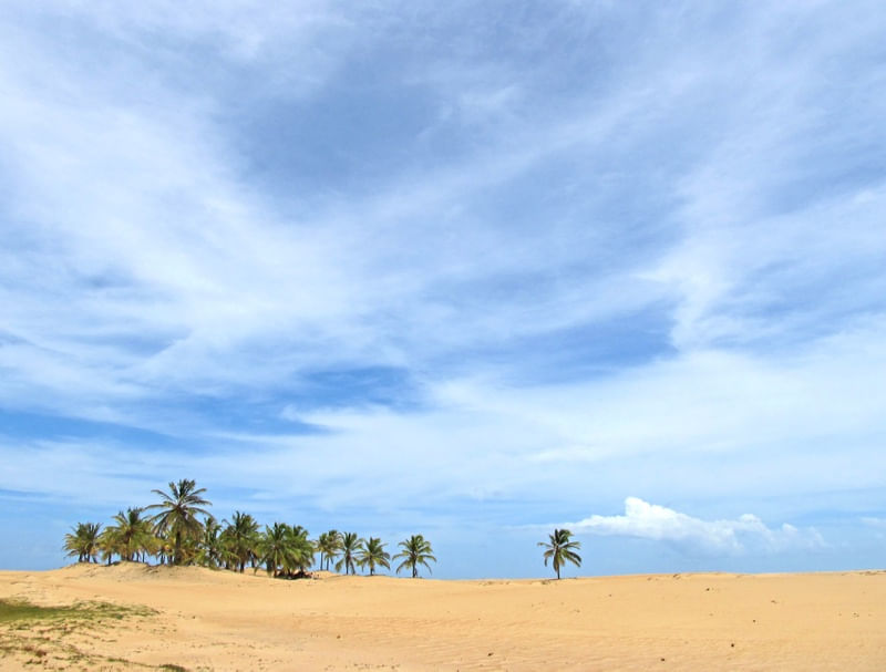 DUNAS DO SÃO FRANCISCO I